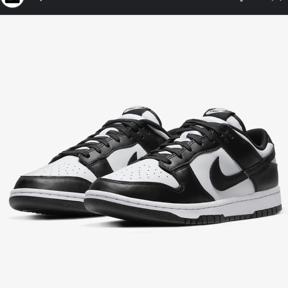 Panda Nike Dunks